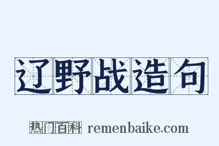 辽野战造句是什么意思的图片